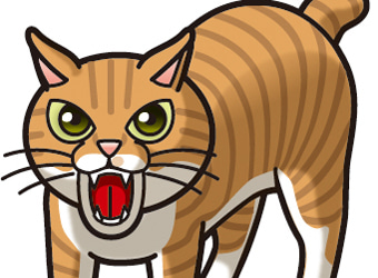 イラスト／アニメタッチ3