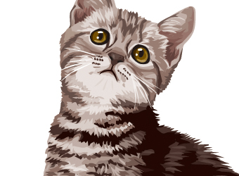 イラスト／リアルタッチ3