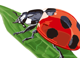 イラスト／リアルタッチ1