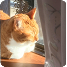 プロフィール写真